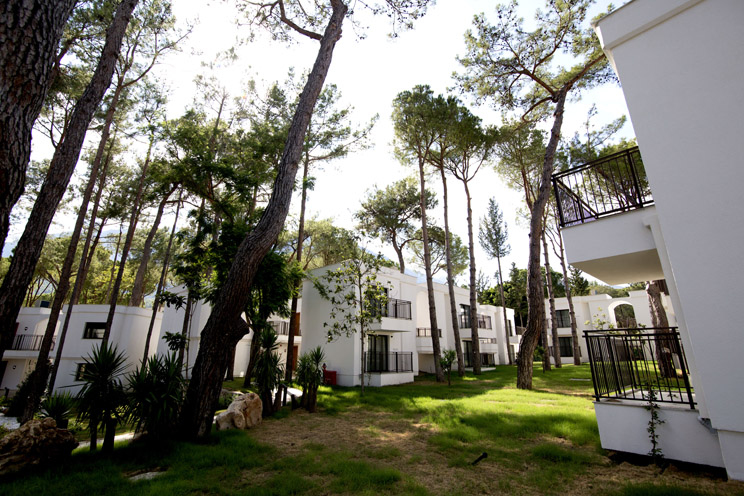 Aydınbey Siu Collection
