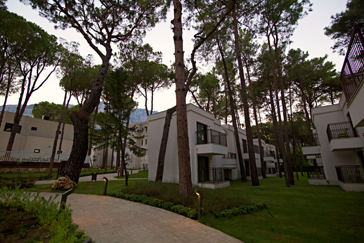 Aydınbey Siu Collection