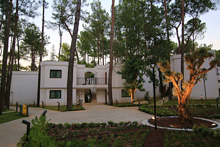 Aydınbey Siu Collection