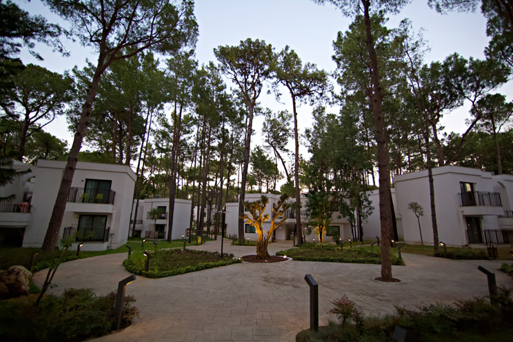 Aydınbey Siu Collection