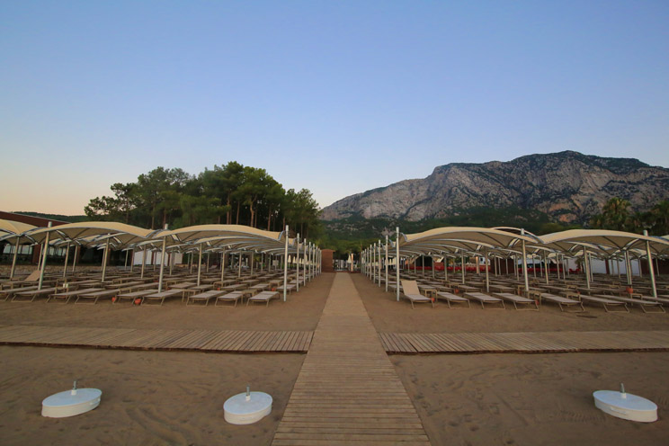 Aydınbey Siu Collection