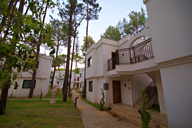 Aydınbey Siu Collection