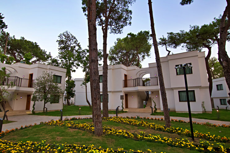 Aydınbey Siu Collection