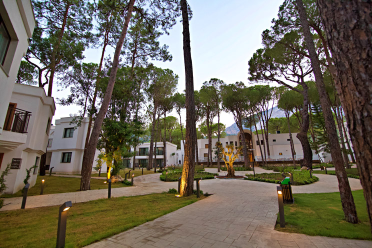 Aydınbey Siu Collection