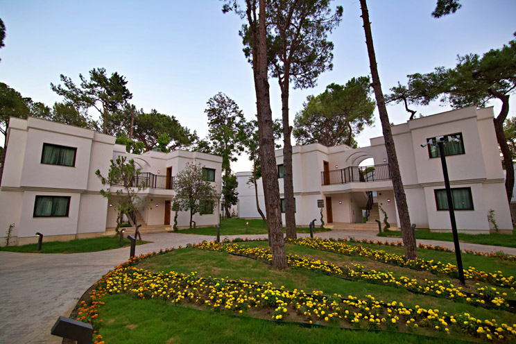 Aydınbey Siu Collection