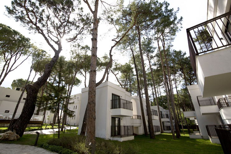 Aydınbey Siu Collection