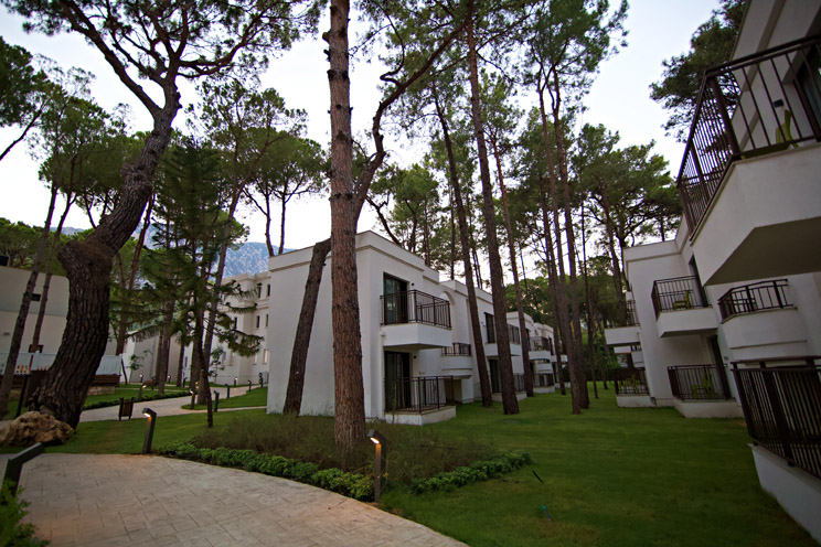 Aydınbey Siu Collection