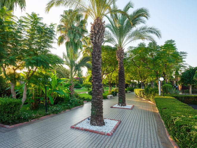 Aydınbey Famous Resort