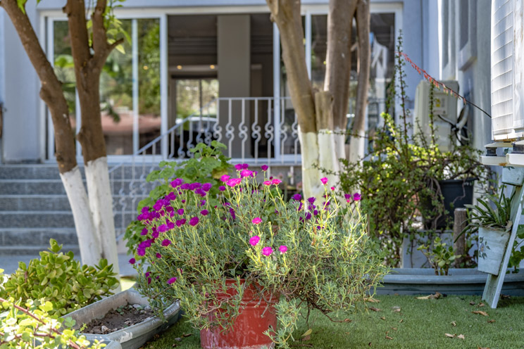 Hotel Centro Bodrum